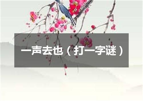 一声去也（打一字谜）