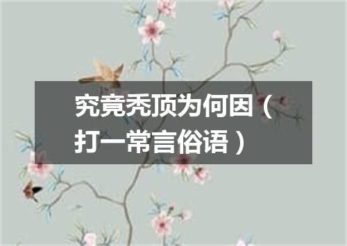 究竟秃顶为何因（打一常言俗语）