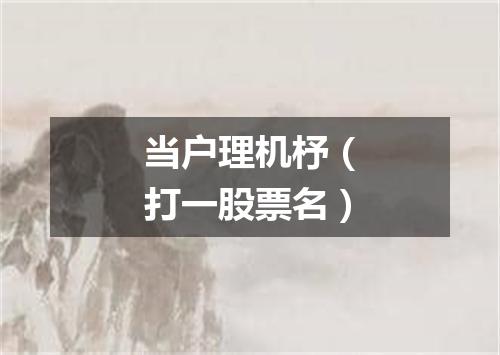 当户理机杼（打一股票名）