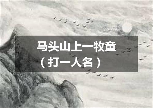 马头山上一牧童（打一人名）