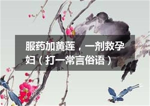 服药加黄莲，一剂救孕妇（打一常言俗语）