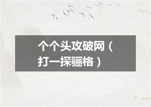 个个头攻破网（打一探骊格）