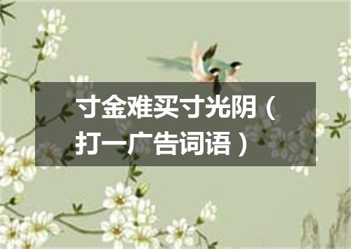 寸金难买寸光阴（打一广告词语）