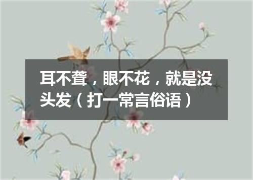耳不聋，眼不花，就是没头发（打一常言俗语）