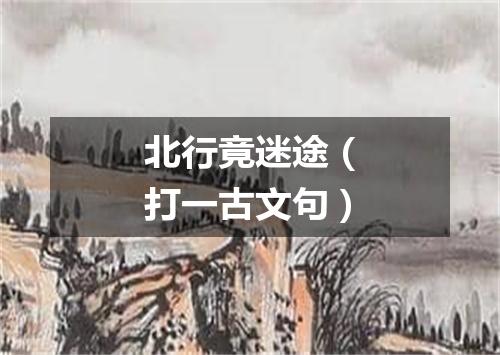 北行竟迷途（打一古文句）