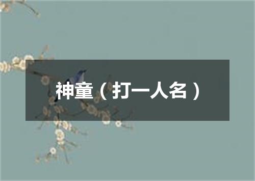 神童（打一人名）