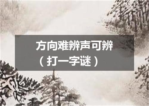 方向难辨声可辨（打一字谜）