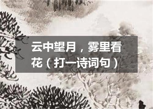 云中望月，雾里看花（打一诗词句）