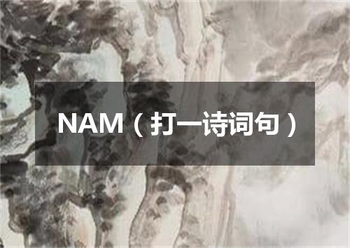 NAM（打一诗词句）