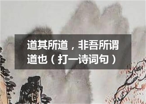 道其所道，非吾所谓道也（打一诗词句）