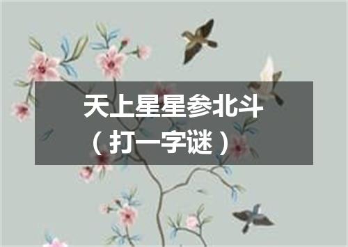 天上星星参北斗（打一字谜）