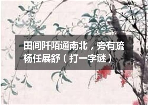 田间阡陌通南北，旁有疏杨任展舒（打一字谜）