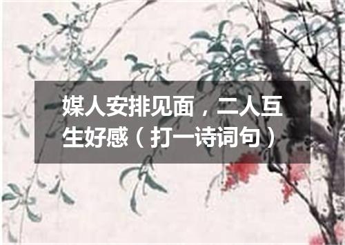 媒人安排见面，二人互生好感（打一诗词句）