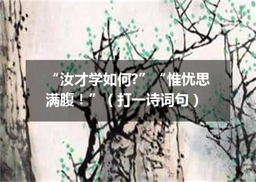 “汝才学如何?”“惟忧思满腹！”（打一诗词句）