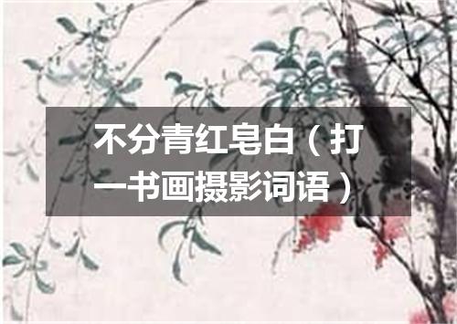 不分青红皂白（打一书画摄影词语）