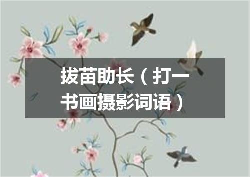 拔苗助长（打一书画摄影词语）