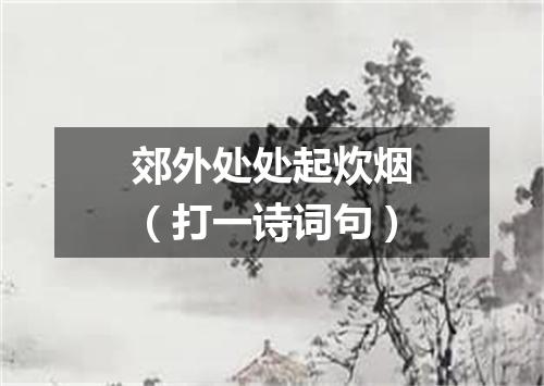 郊外处处起炊烟（打一诗词句）