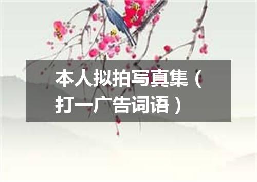 本人拟拍写真集（打一广告词语）
