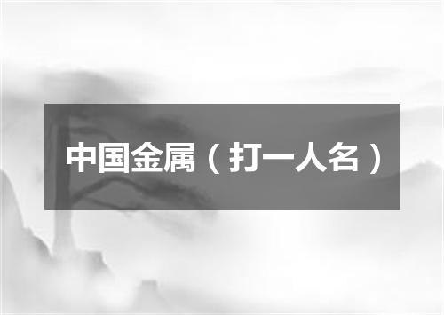 中国金属（打一人名）