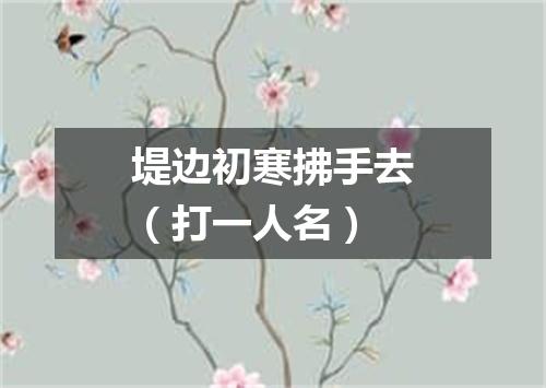 堤边初寒拂手去（打一人名）