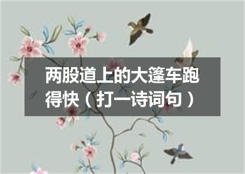 两股道上的大篷车跑得快（打一诗词句）