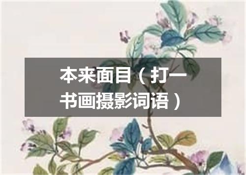 本来面目（打一书画摄影词语）