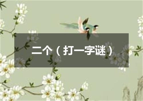 二个（打一字谜）