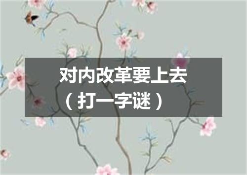 对内改革要上去（打一字谜）