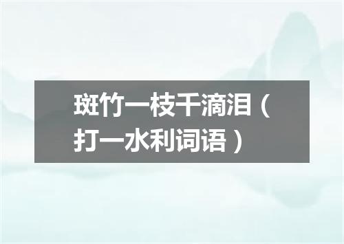 斑竹一枝千滴泪（打一水利词语）