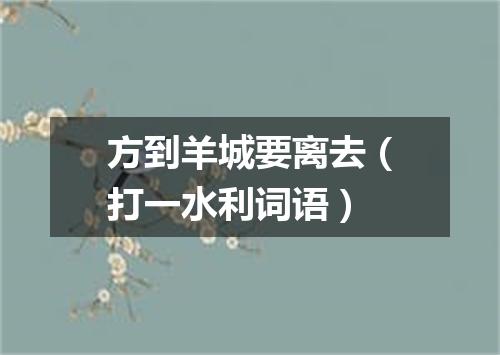 方到羊城要离去（打一水利词语）
