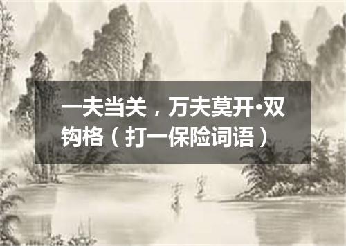 一夫当关，万夫莫开·双钩格（打一保险词语）