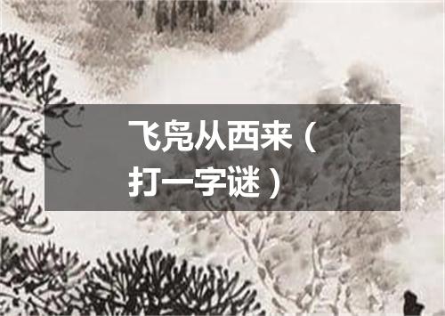 飞凫从西来（打一字谜）