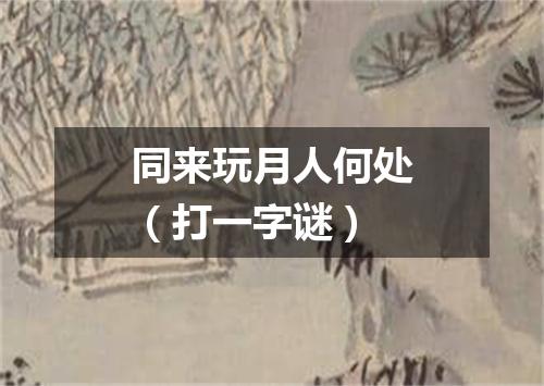 同来玩月人何处（打一字谜）