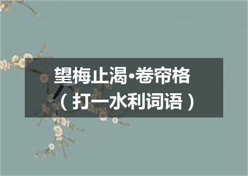 望梅止渴·卷帘格（打一水利词语）
