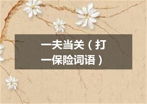 一夫当关（打一保险词语）