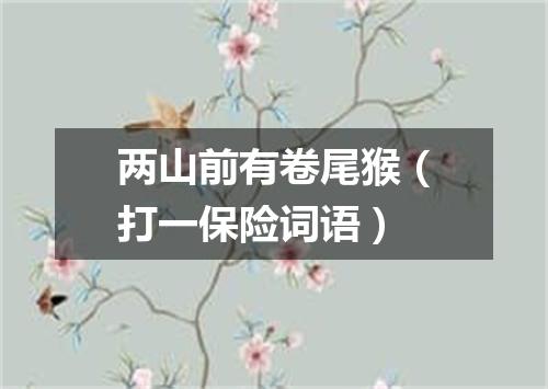 两山前有卷尾猴（打一保险词语）
