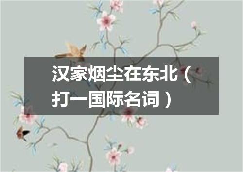 汉家烟尘在东北（打一国际名词）