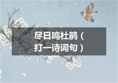 尽日鸣杜鹃（打一诗词句）