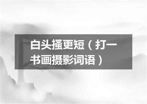 白头搔更短（打一书画摄影词语）