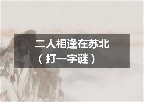 二人相逢在苏北（打一字谜）