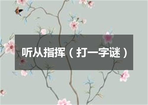 听从指挥（打一字谜）