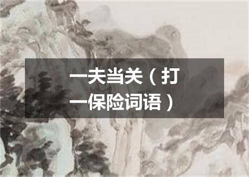 一夫当关（打一保险词语）