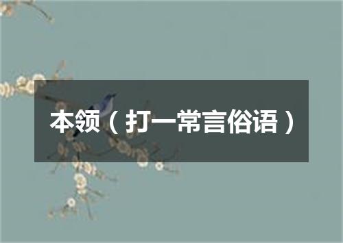 本领（打一常言俗语）