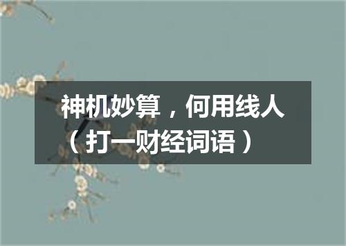 神机妙算，何用线人（打一财经词语）