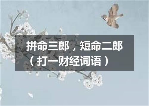 拼命三郎，短命二郎（打一财经词语）