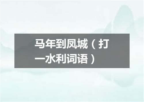 马年到凤城（打一水利词语）