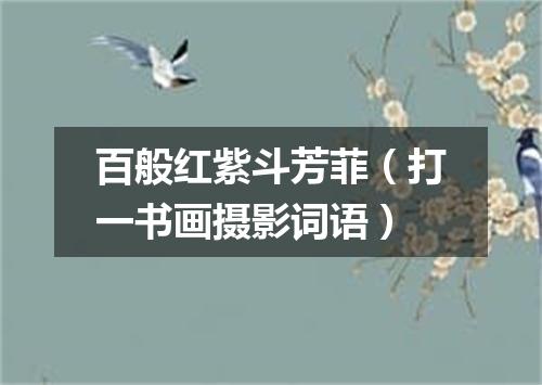 百般红紫斗芳菲（打一书画摄影词语）