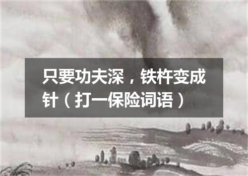 只要功夫深，铁杵变成针（打一保险词语）