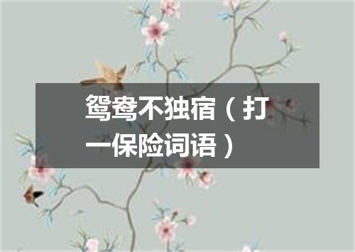 鸳鸯不独宿（打一保险词语）