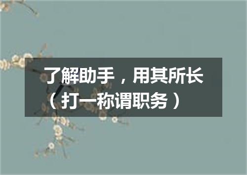 了解助手，用其所长（打一称谓职务）